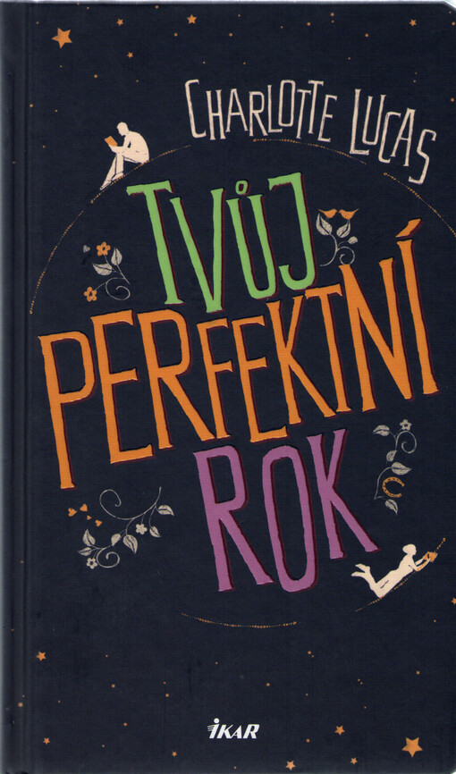 Tvůj perfektní rok