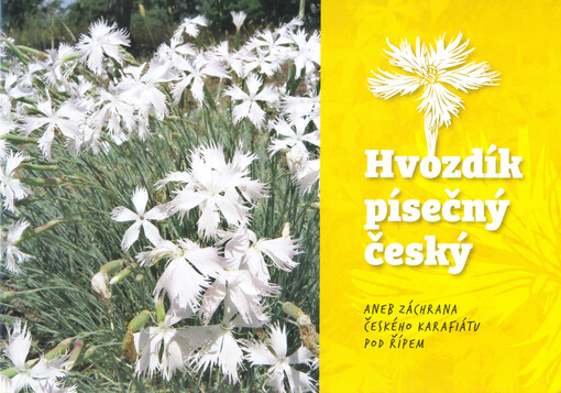 Hvozdík písečný český, aneb, Záchrana českého karafiátu pod Řípem
