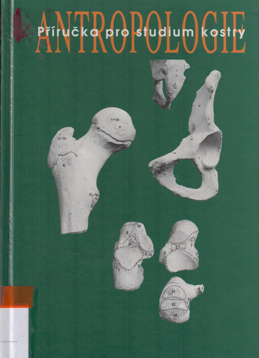 Antropologie: příručka pro studium kostry