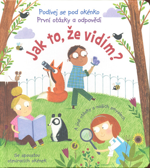 Jak to, že vidím?