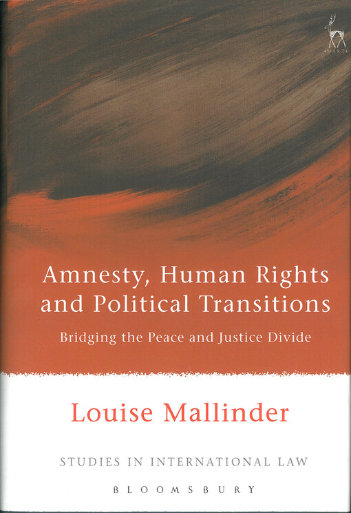 Amnesty, human rights and political transitions