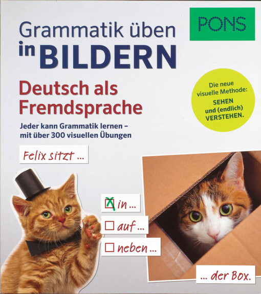 Grammatik üben in Bildern : Deutsch als Fremdsprache