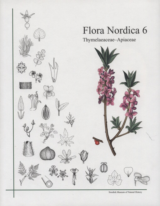 Flora Nordica. Volume 6, Thymelaeaceae to Apiaceae