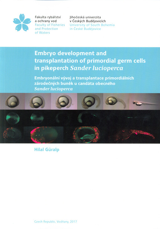 Embryo development and transplantation of primordial germ cells in pikeperch Sander lucioperca = Embryonální vývoj a transplantace primordiálních zárodečných buněk u candáta obecného Sander lucioperca