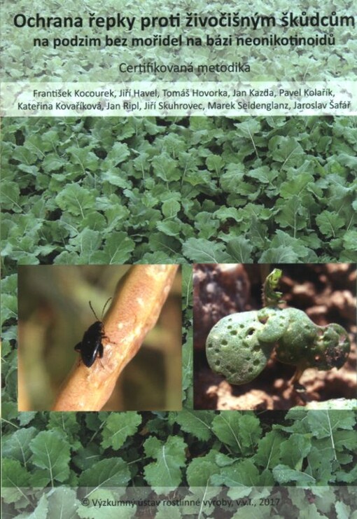 Ochrana řepky proti živočišným škůdcům na podzim bez mořidel na bázi neonikotinoidů
