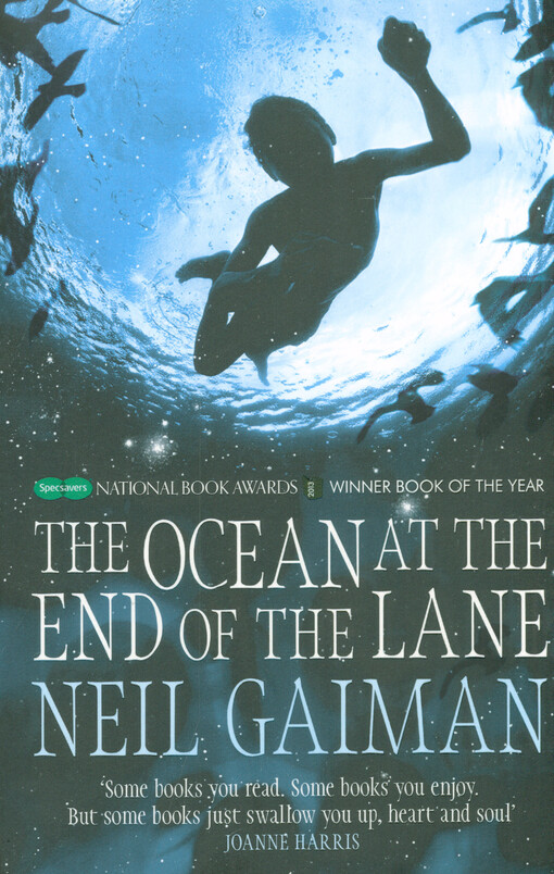 The ocean at the end of the lane
