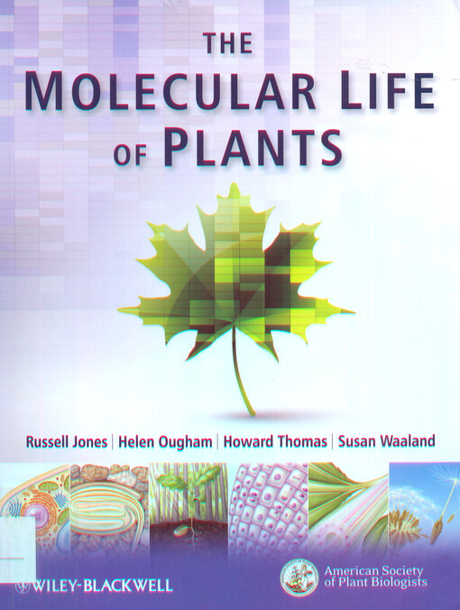 The molecular life of plants