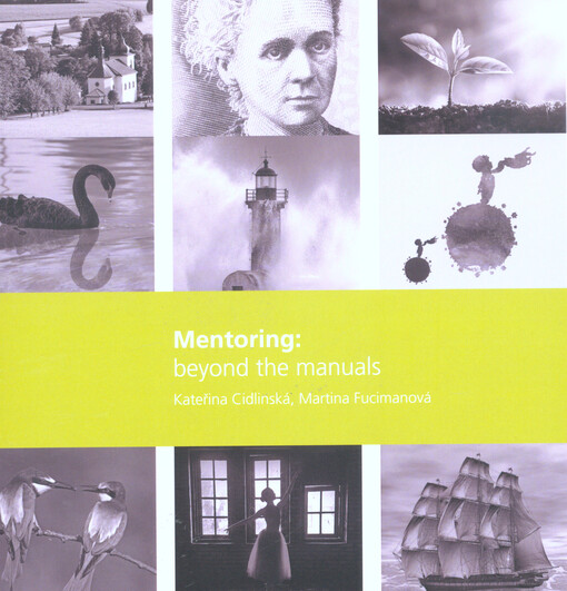 Mentoring: beyond the manuals