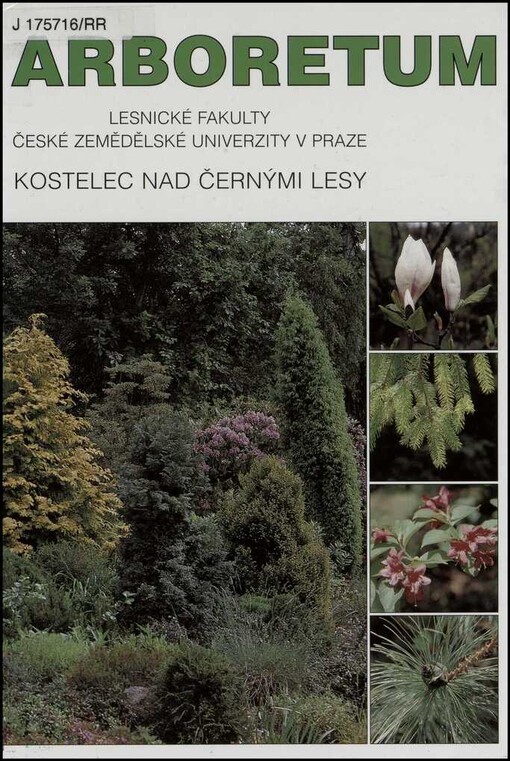 Arboretum Lesnické fakulty České zemědělské univerzity v Praze, Kostelec nad Černými lesy