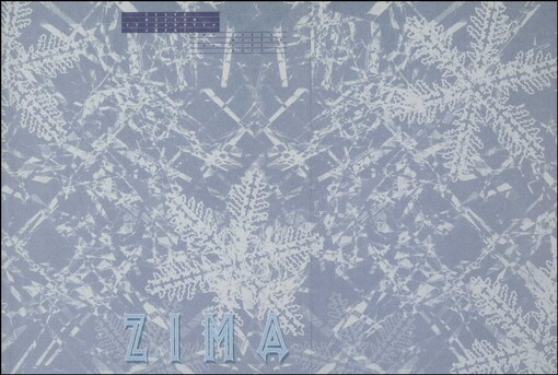 Zima v české výtvarné kultuře od minulosti k přítomnosti: Winter in Czech visual culture from past to present : České muzeum výtvarných umění v Praze
       : 16.12.2004-20.2.2005, Horácká galerie v Novém Městě na Moravě : březen, duben 2005