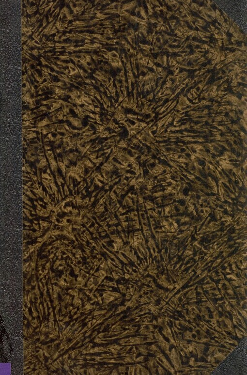 Barocke in Nordwest-Böhmen: mit besonderer Berücksichtigung der Sct. Maria-Magdalenen-Kirche in Karlsbad und ihres Erbauers Kilian Ignaz Dienzenhofer