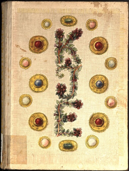 Mateřídouška vlasti naší milé