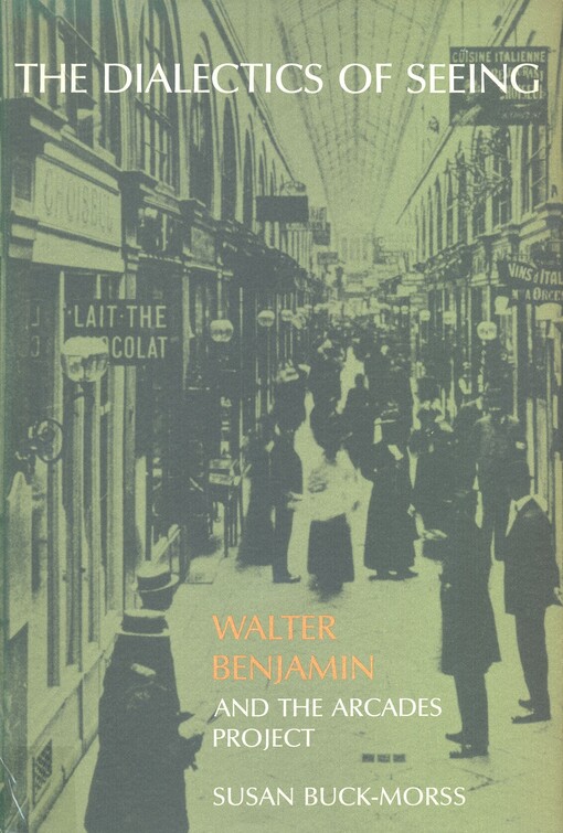 The dialectics of seeing