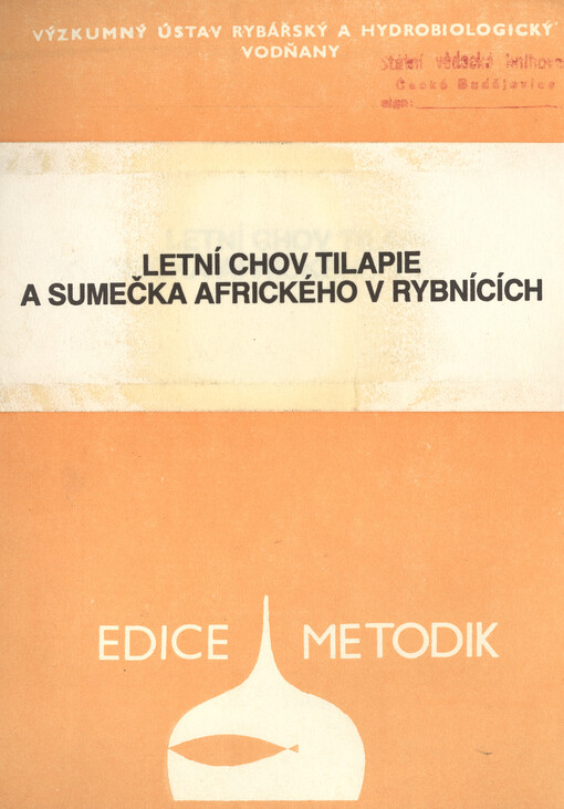 Letní chov tilapie a sumečka afrického v rybnících