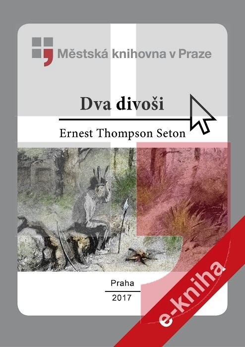 Dva divoši :dobrodružství dvou chlapců, kteří se učili žít jako indiáni
