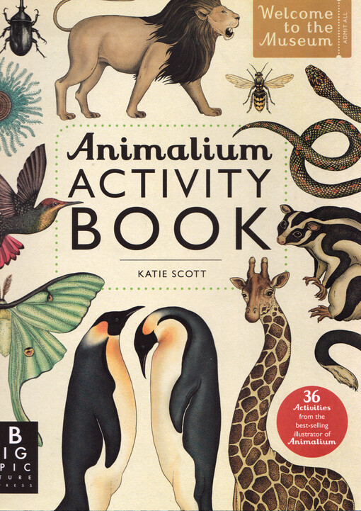 Animalium : activity book