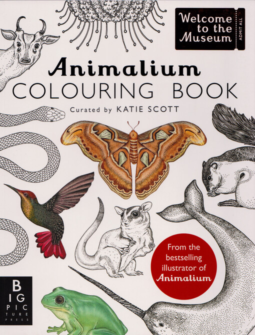 Animalium : colouring book