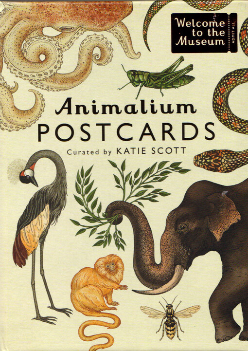 Animalium : postcards