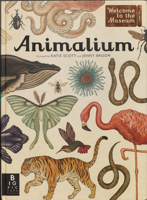 Animalium