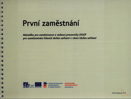 První zaměstnání: metodika pro zaměstnance a vedoucí pracovníky DOZP pro zaměstnávání klientů těchto zařízení v rámci těchto zařízení