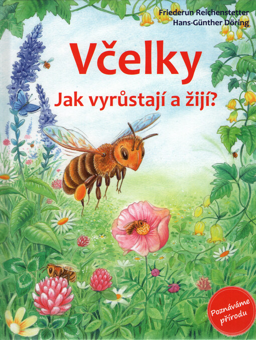Včelky - Jak vyrůstají a žijí?