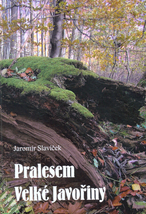 Pralesem Velké Javořiny