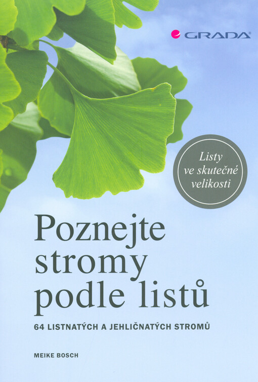 Poznejte stromy podle listů | Bosch Meike