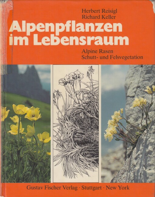 Alpenpflanzen im Lebensraum : Alpine Rasen Schutt- und Felsvegetation