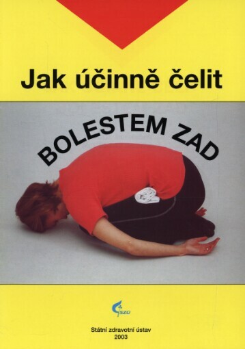 Jak účinně čelit bolestem zad