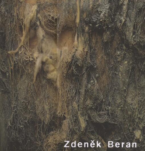 Zdeněk Beran