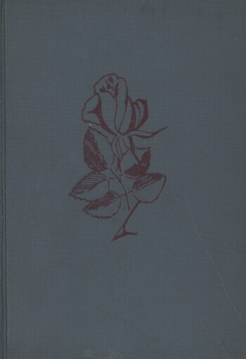 Ztracené jaro :historie mládí