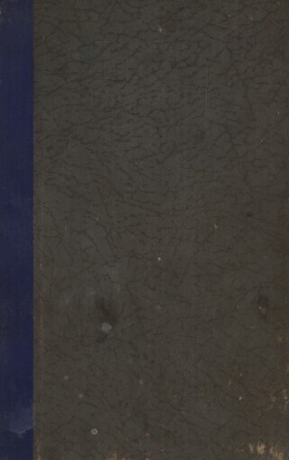 Bouře se přehnala: román