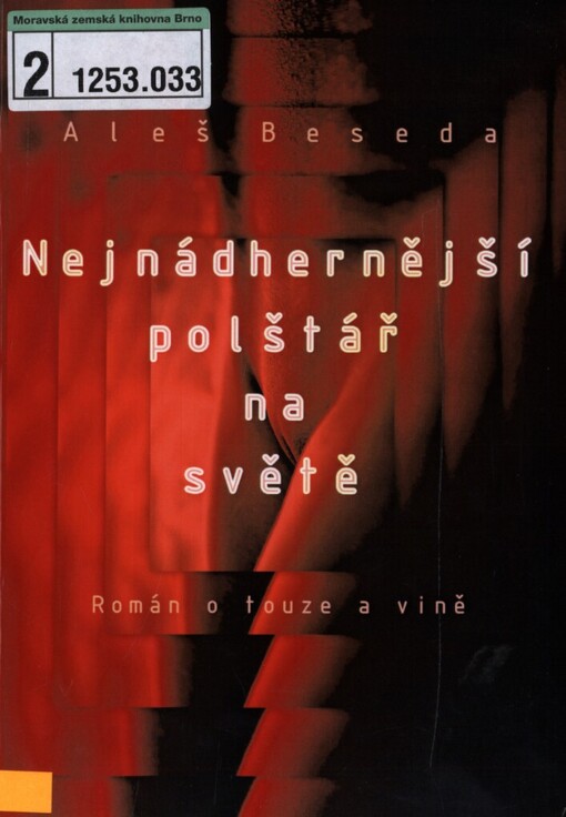 Nejnádhernější polštář na světě: román o touze a vině