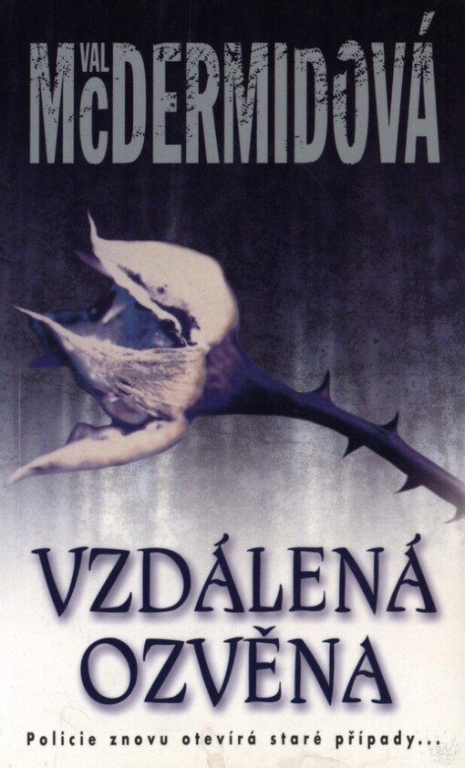 Vzdálená ozvěna