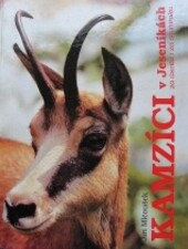 Kamzíci v Jeseníkách za úsvitu i za soumraku