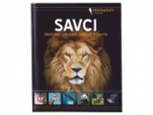 Savci