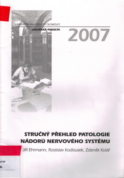 Stručný přehled patologie nádorů nervového systému
