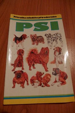 Psi