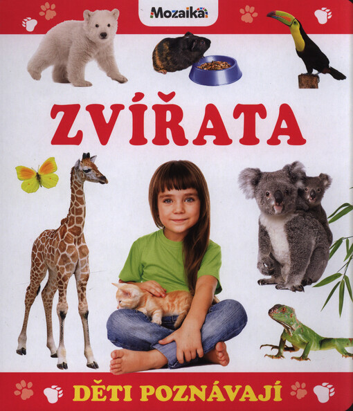 Zvířata