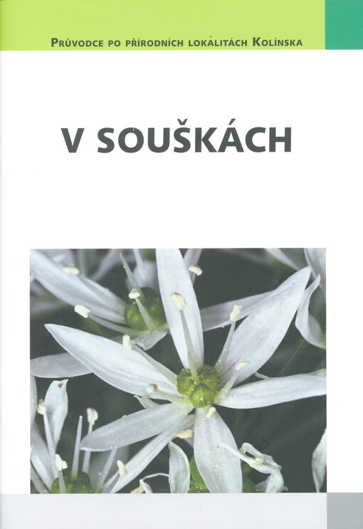 V Souškách: významný krajinný prvek