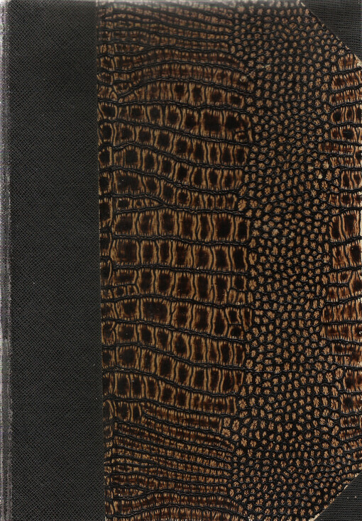 Arcibiskup Dr. Antonín Cyril Stojan :Život a dílo : Pokus o nárys duchovní fysiognomie