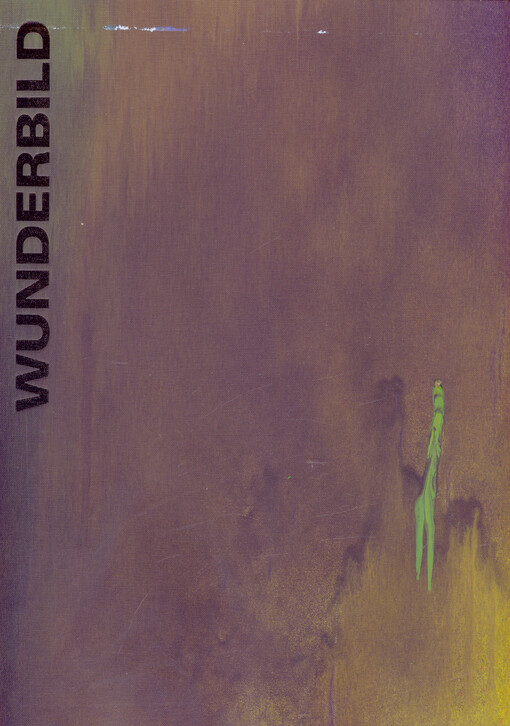 Katharina Grosse : Wunderbild