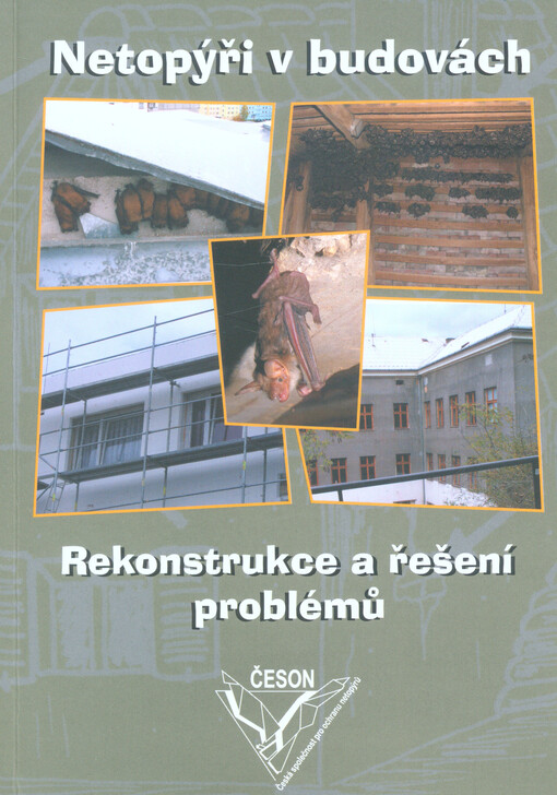 Netopýři v budovách : rekonstrukce a řešení problémů