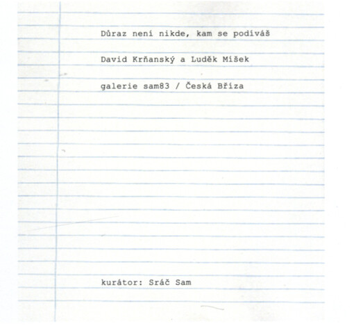David Krňanský a Luděk Míšek : důraz není nikde, kam se podíváš : Galerie Sam83, Česká Bříza