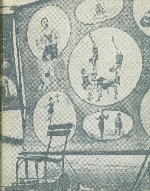 Romance pro křídlovku