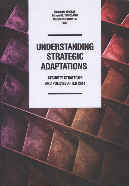 Understanding strategic adaptations: security strategies and policies after 2014