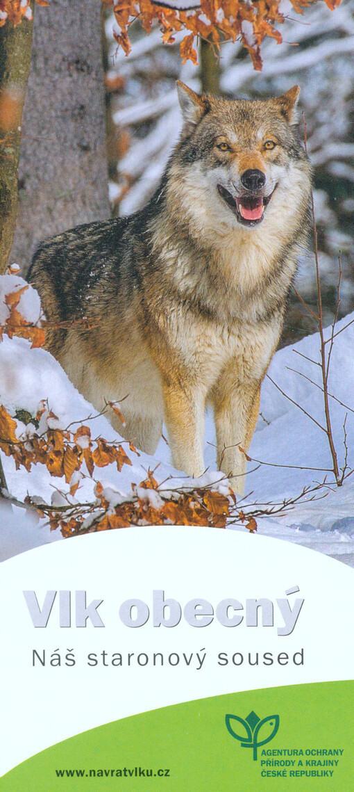 Vlk obecný : náš staronový soused