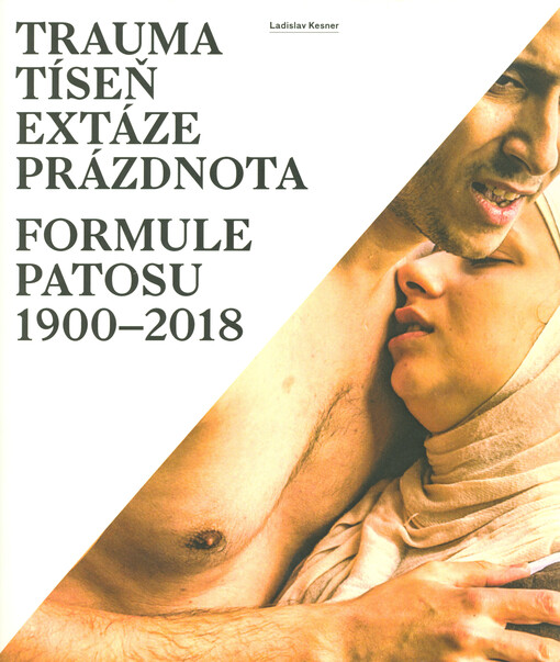 Trauma, tíseň, extáze, prázdnota : formule patosu 1900-2018