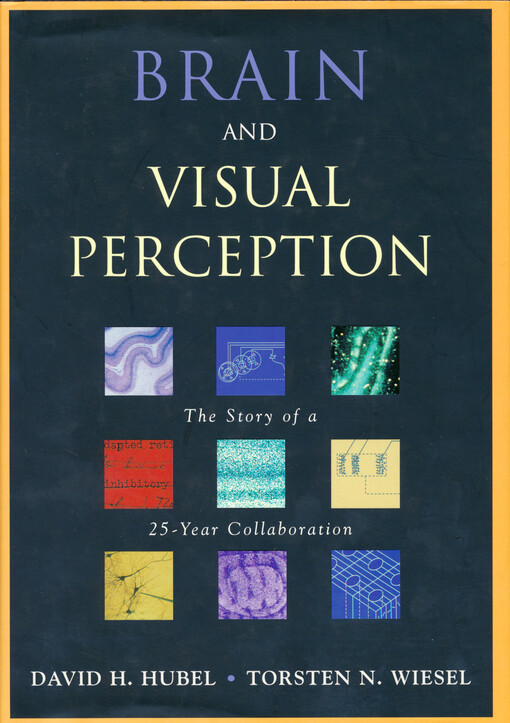 Brain and visual perception :the story of a 25-year collaboration