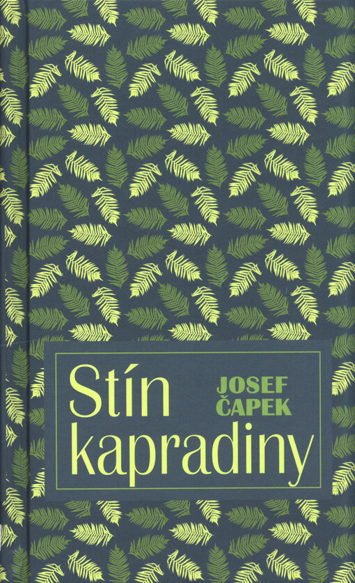 Stín kapradiny